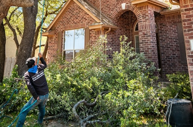 How Emergency Tree Removal Helps Prevent Further Damage After Severe Wind and Storm Events