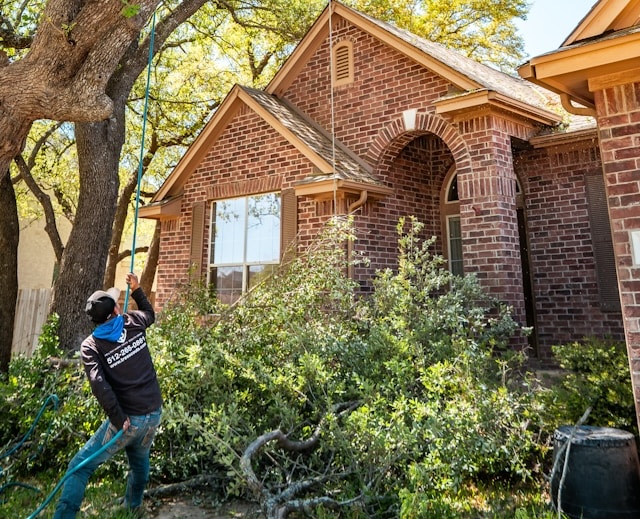 Residential & Commercial Tree Service: Signs You Need Professional Tree Removal Services in Bremerton, WA